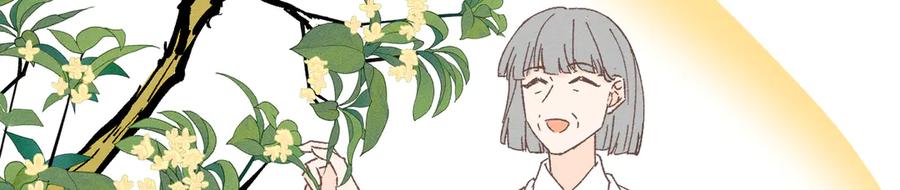 第260页