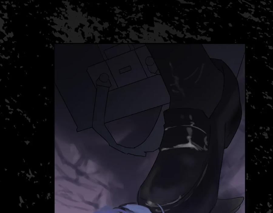 第207页