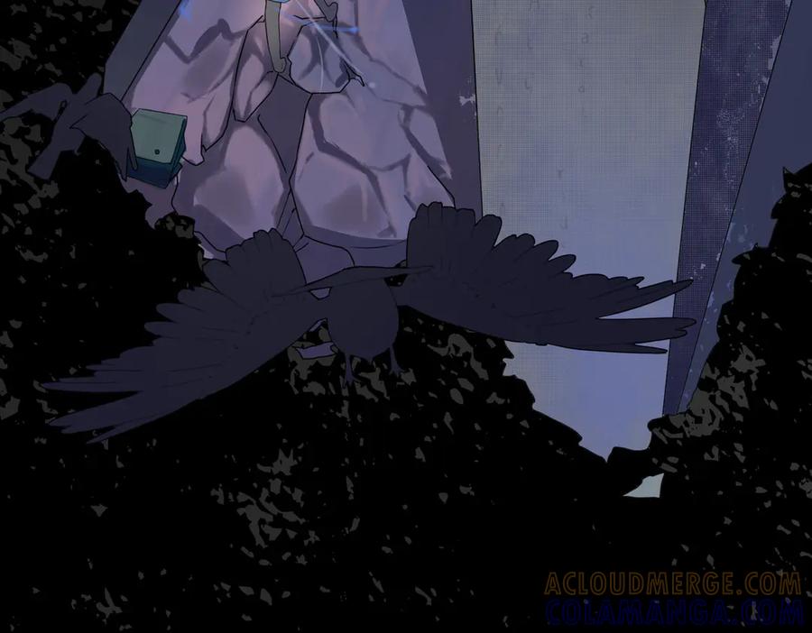 第217页