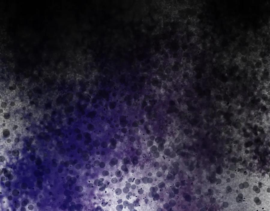 第338页