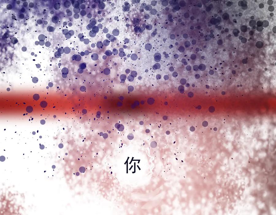 第339页