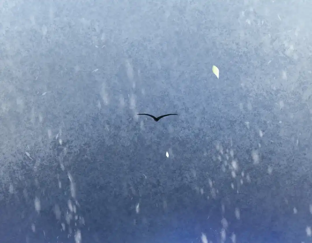 第152页