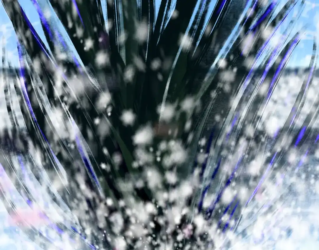 第154页