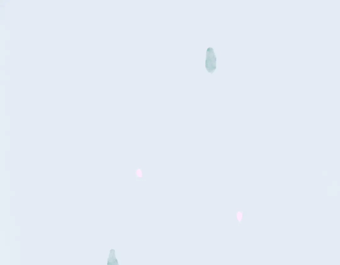 第206页