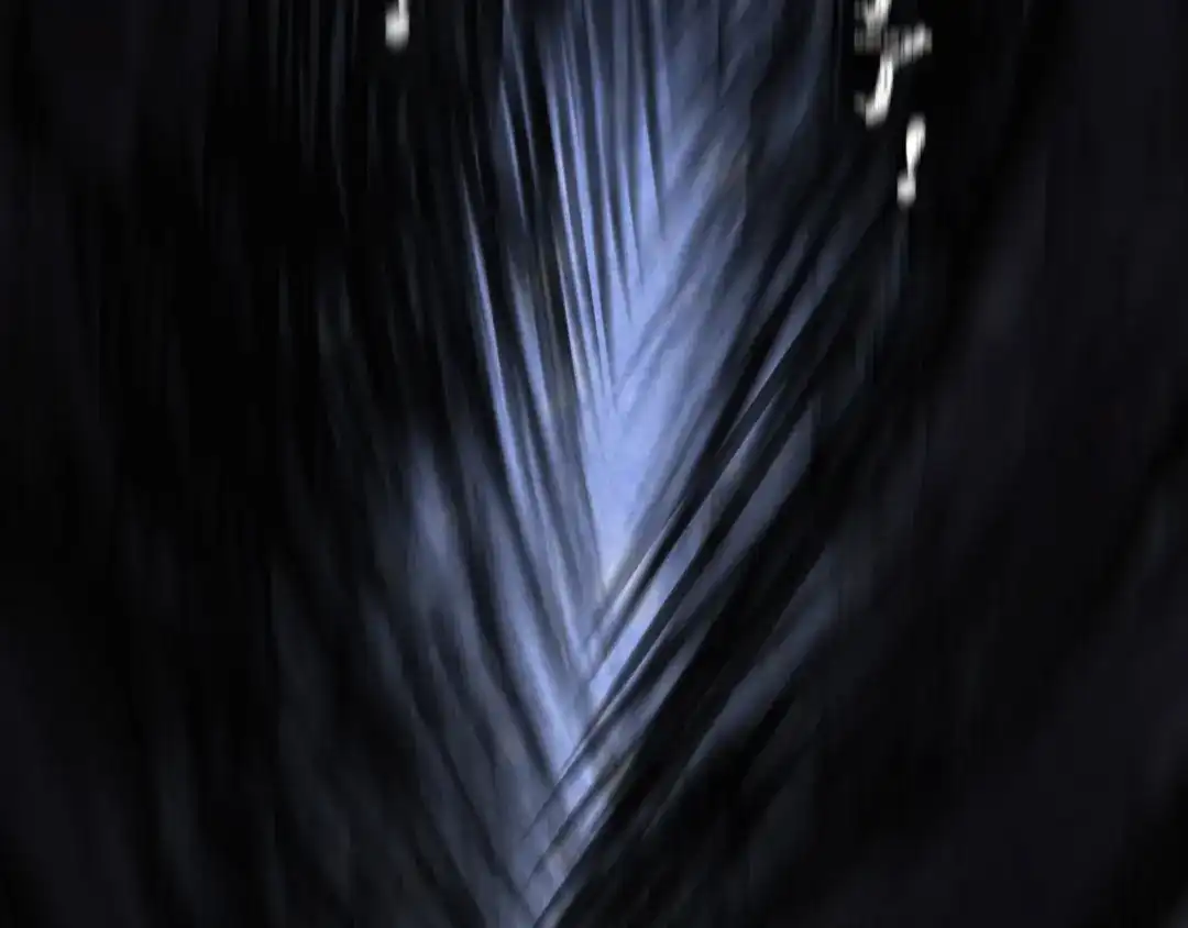 第215页