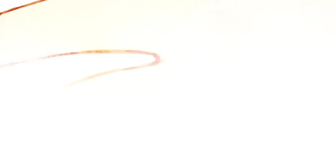 第250页
