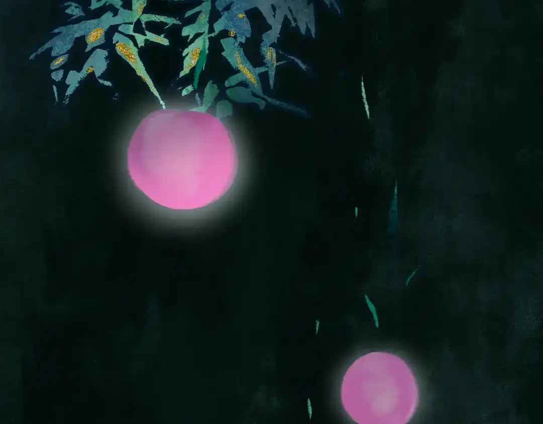 第116页