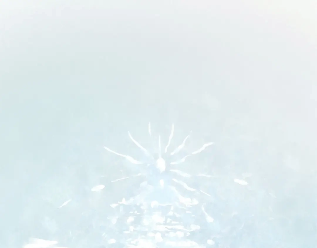 第222页