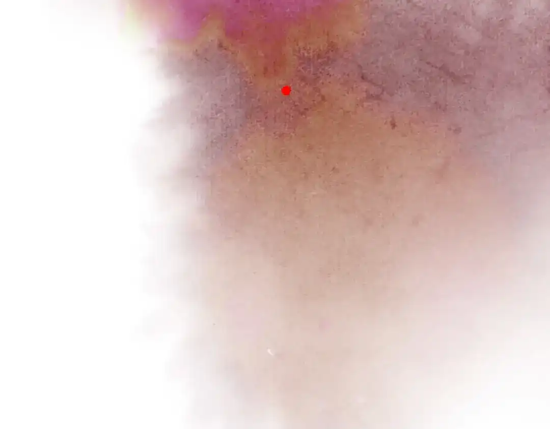 第236页