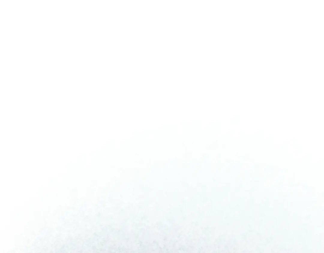 第238页