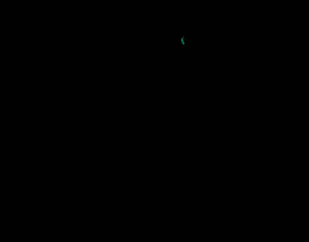 第263页