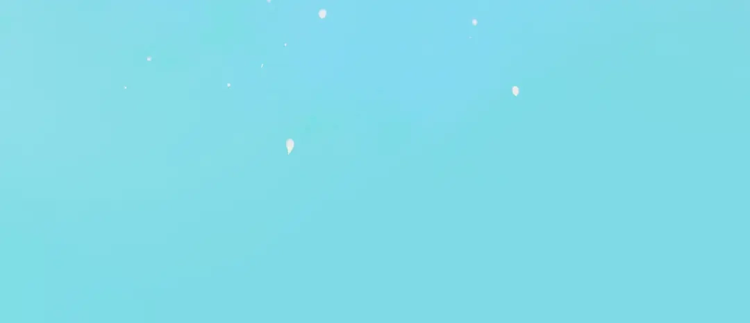 仙槎记 19.名 第100页