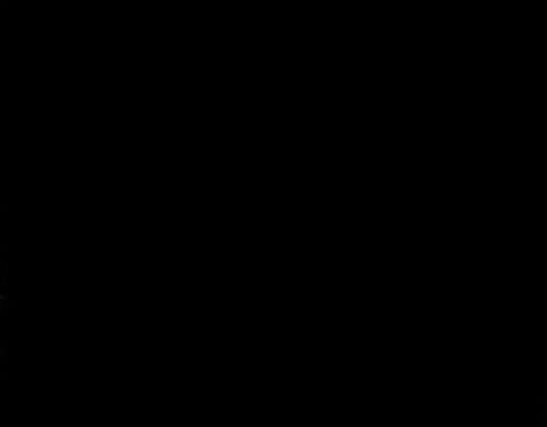 仙槎记 19.名 第231页