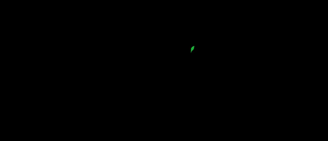 仙槎记 20.双生 第100页
