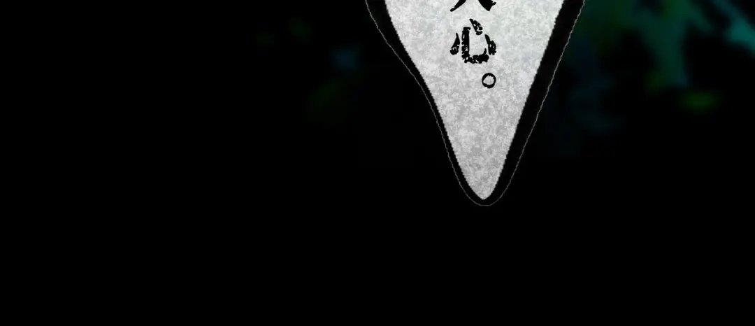 仙槎记 20.双生 第210页
