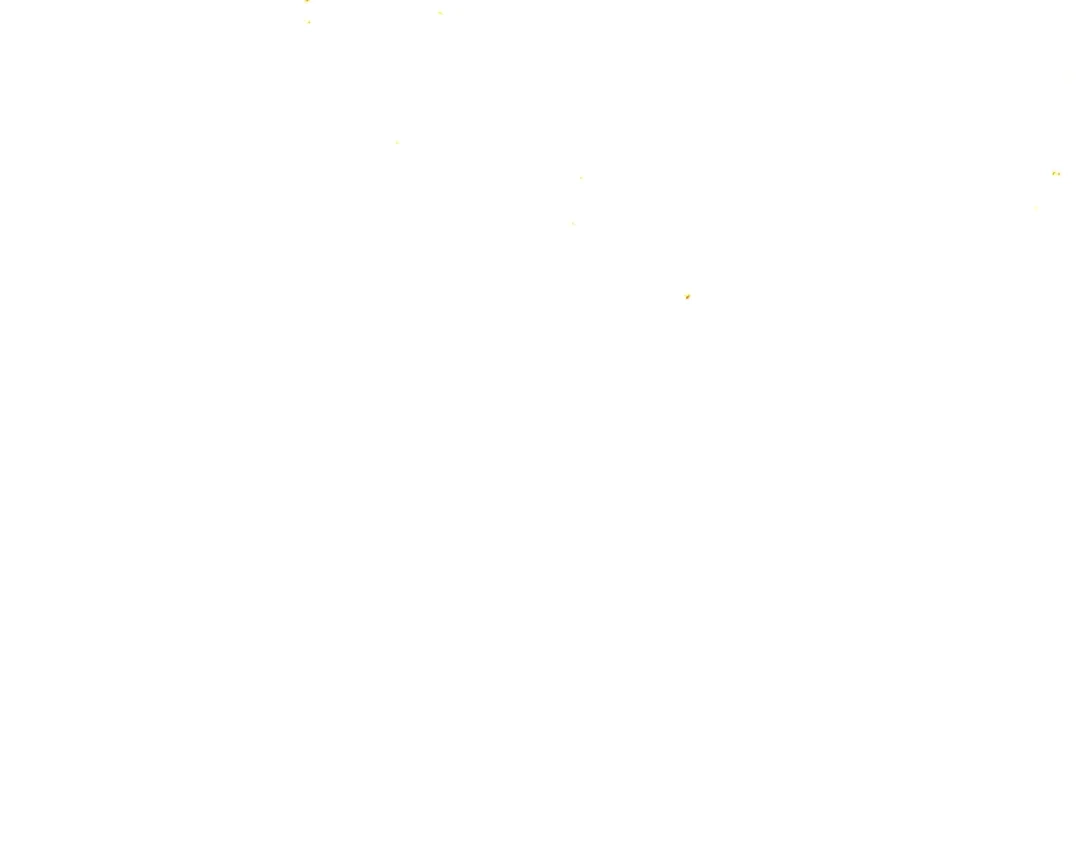 第221页