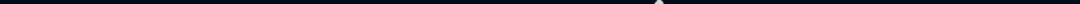 第445页