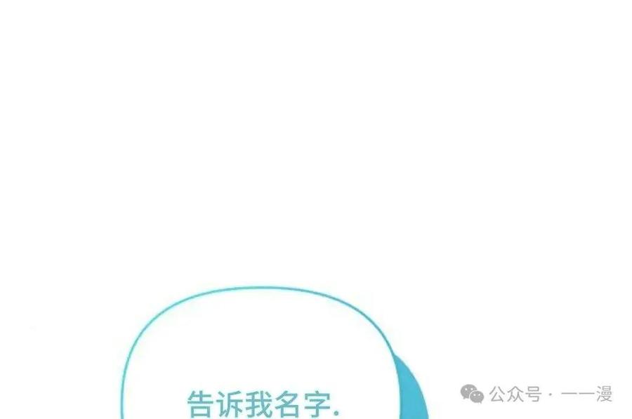 第255页