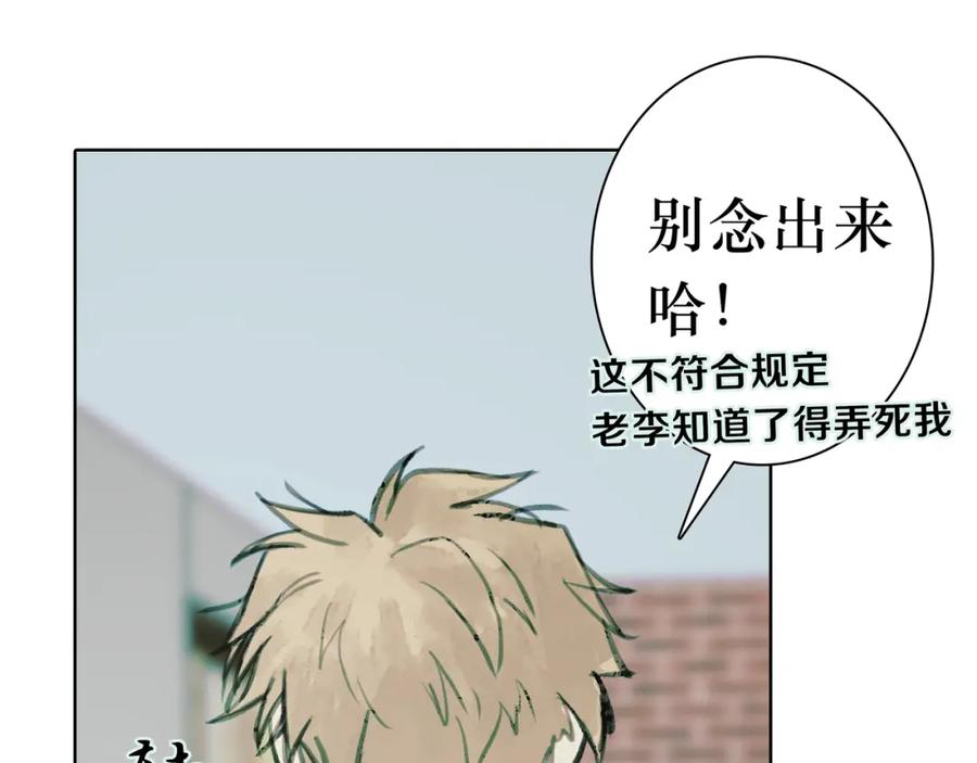 第243页