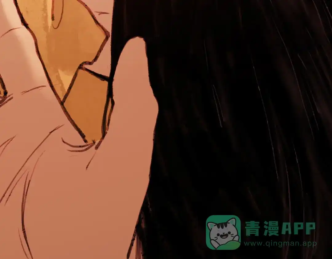 第211页