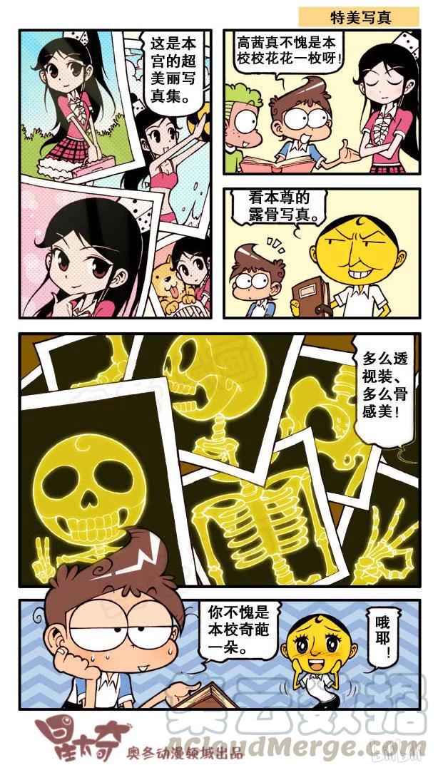 第4页