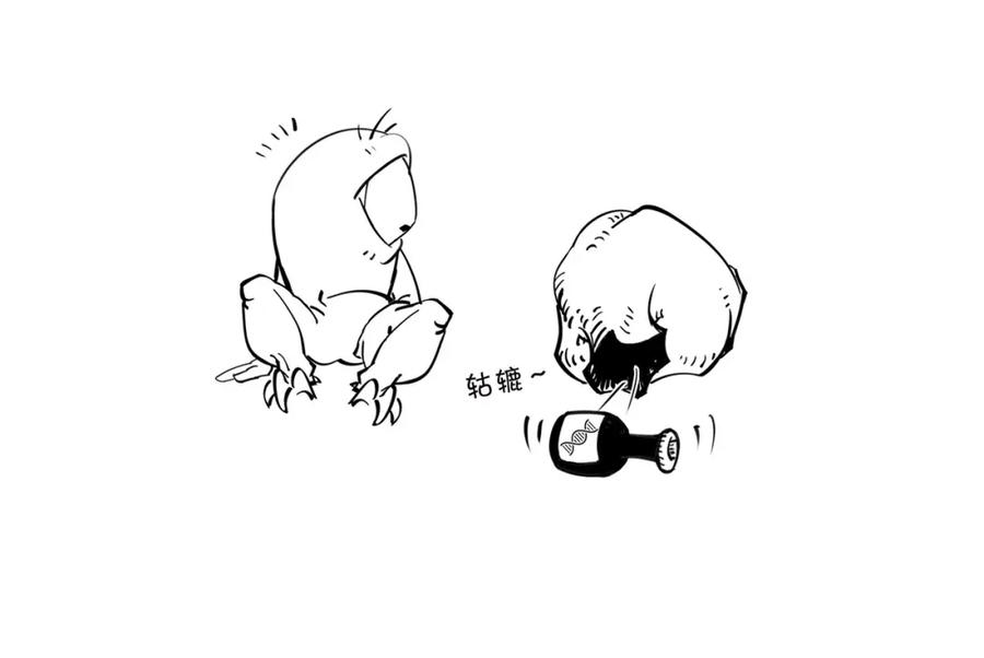 第42页