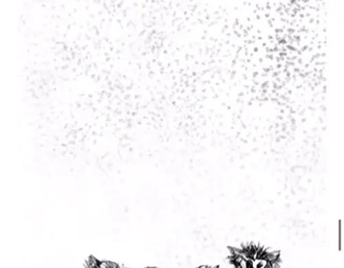 第127页