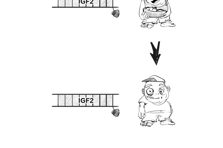 第162页