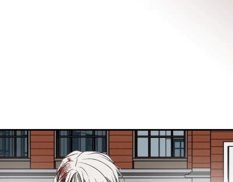 第194页