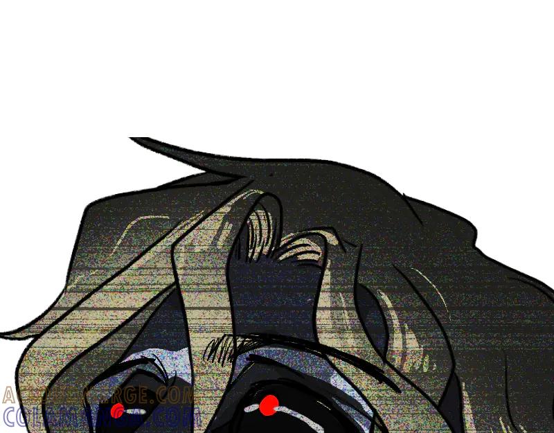 第233页