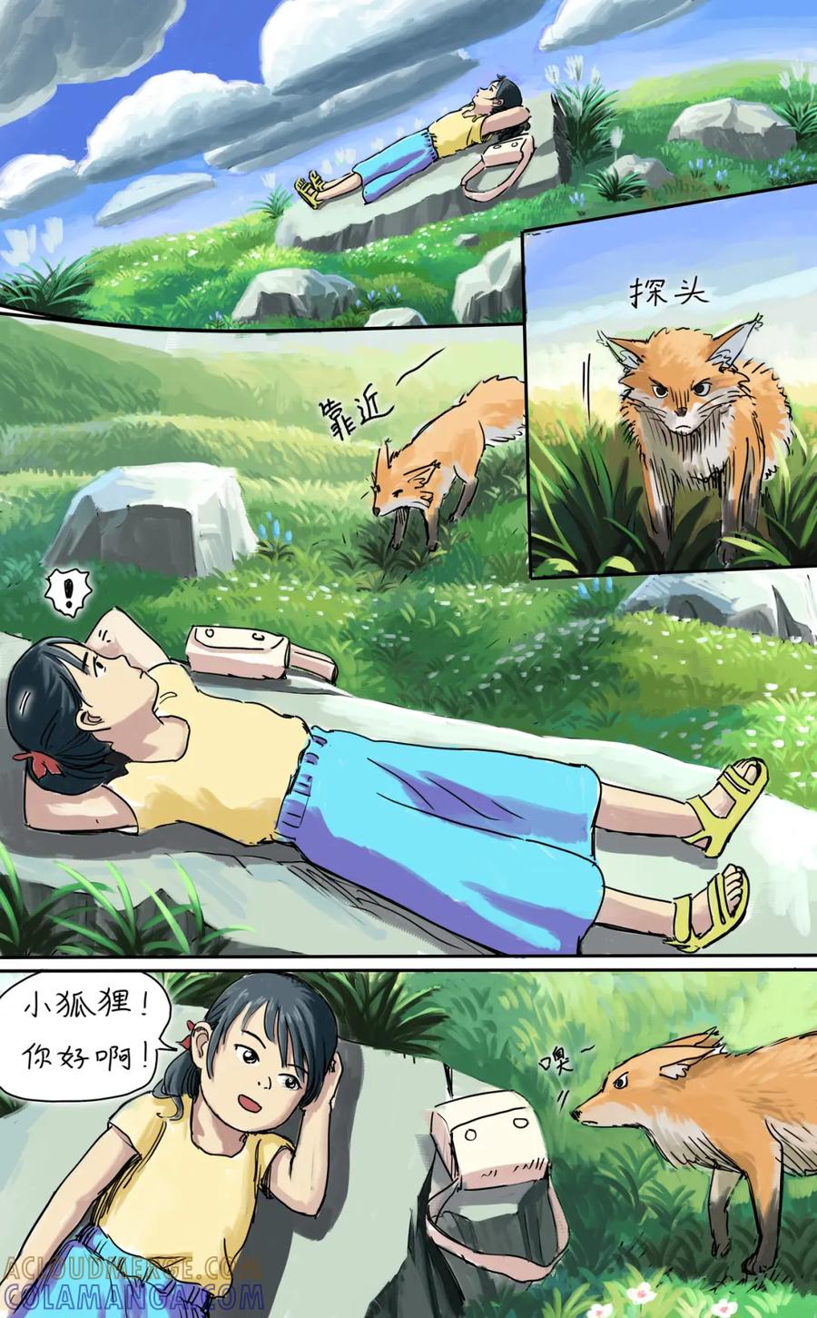 第5页