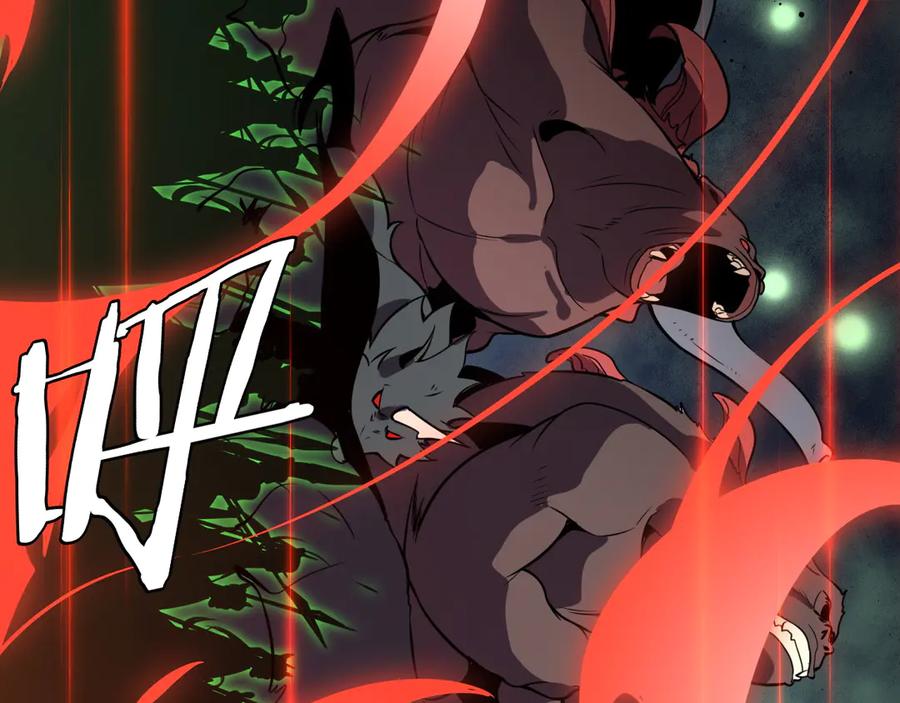 第204页