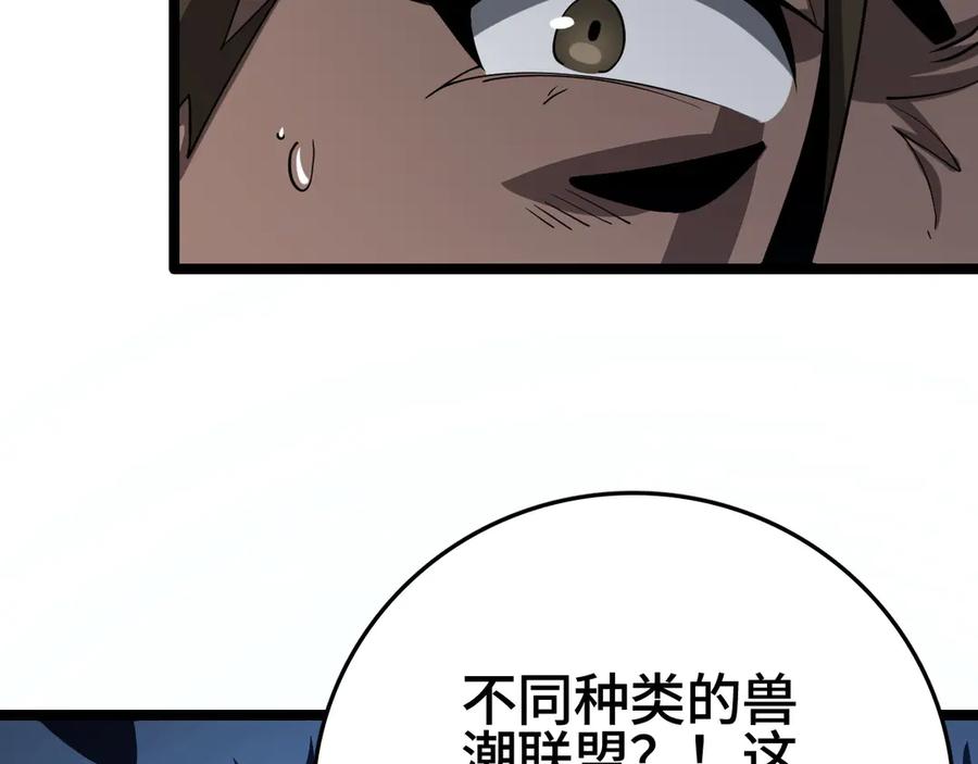 第207页