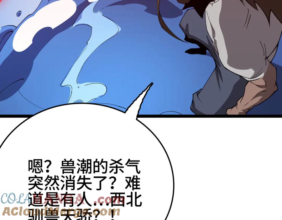 第217页