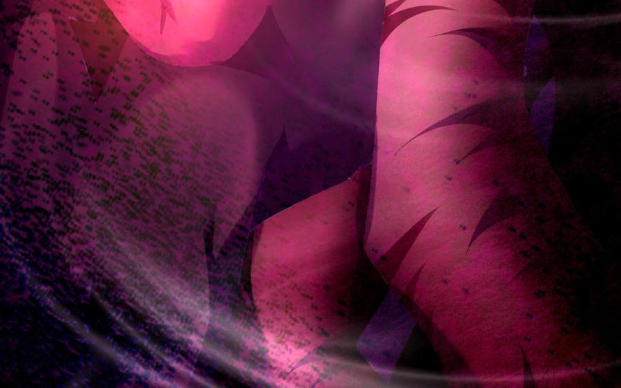 第244页