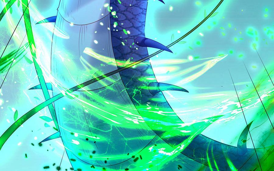 第204页