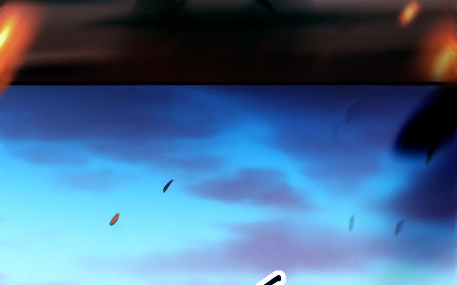 第184页
