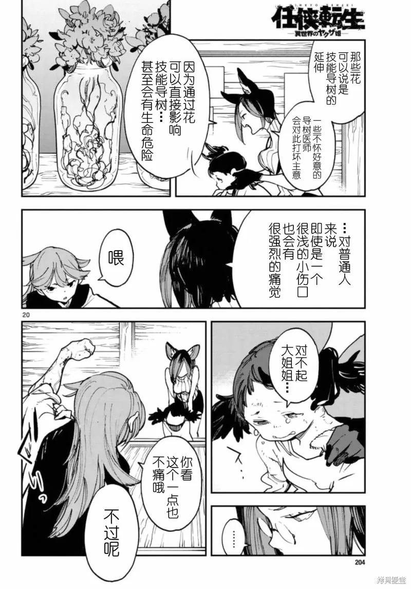 第20页