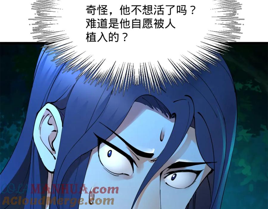 第333页