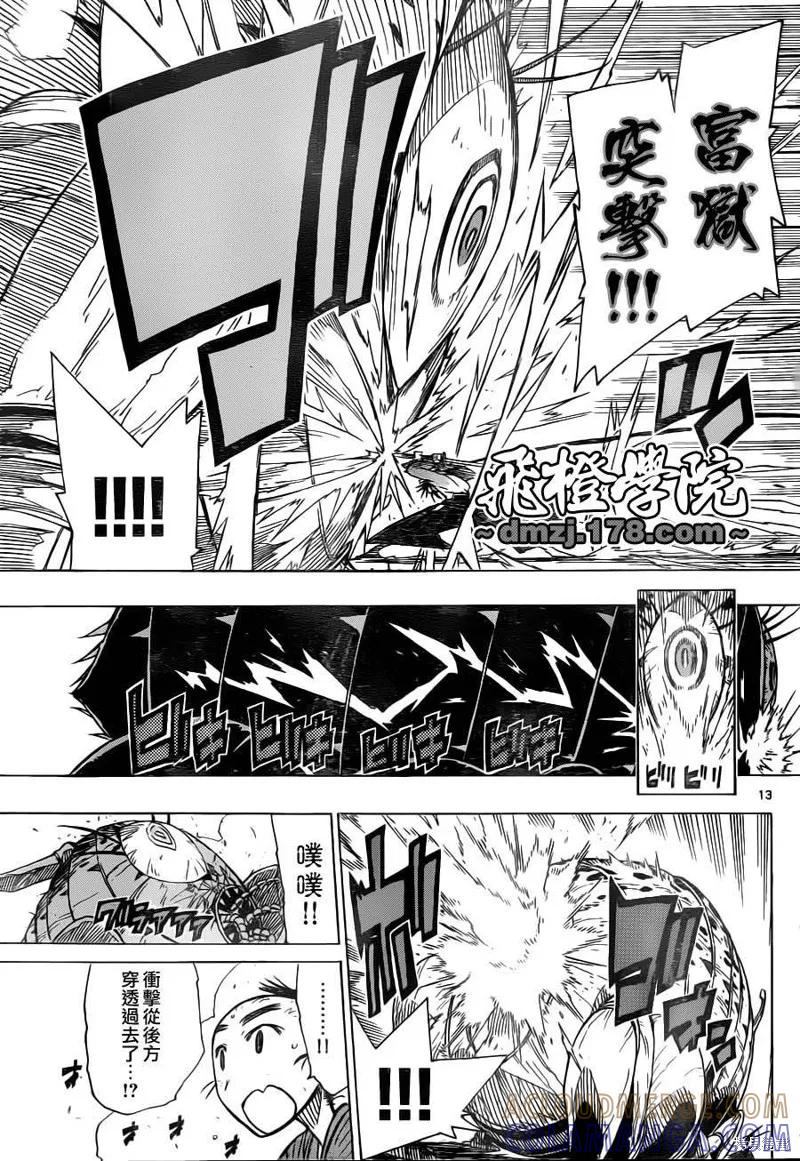 第13页