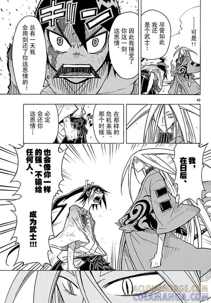 第43页
