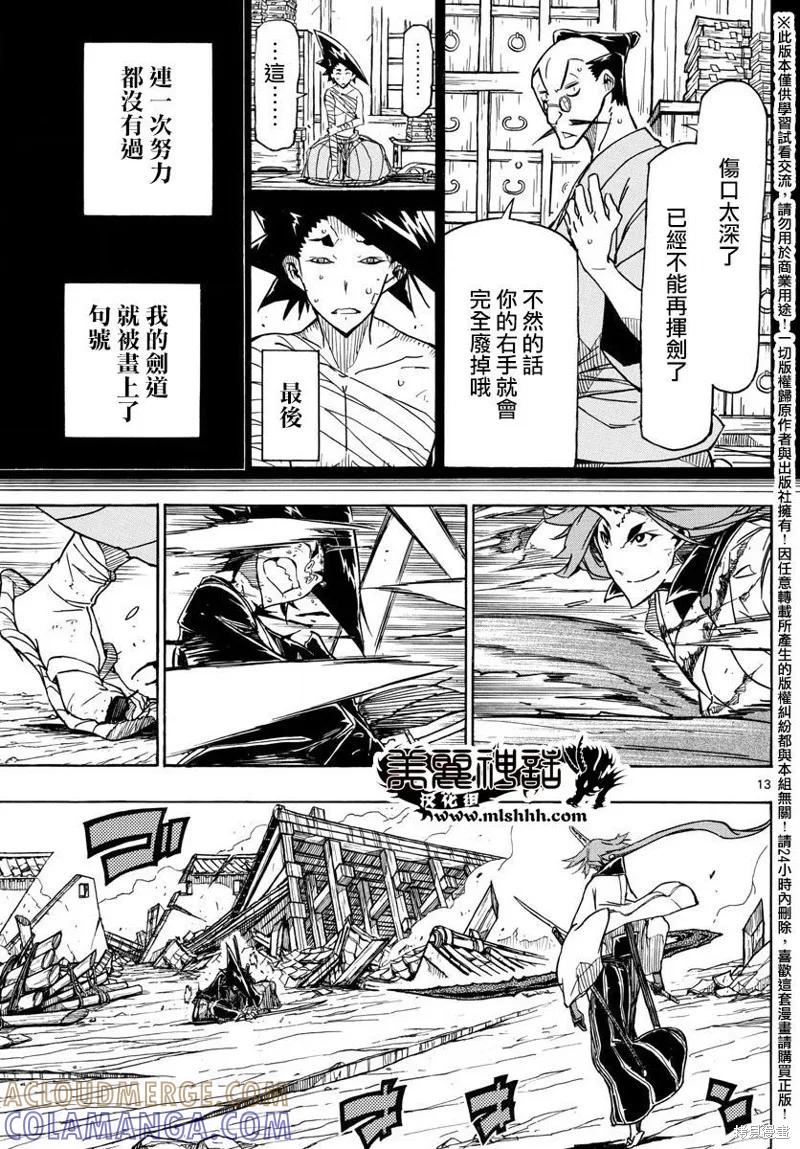 第13页