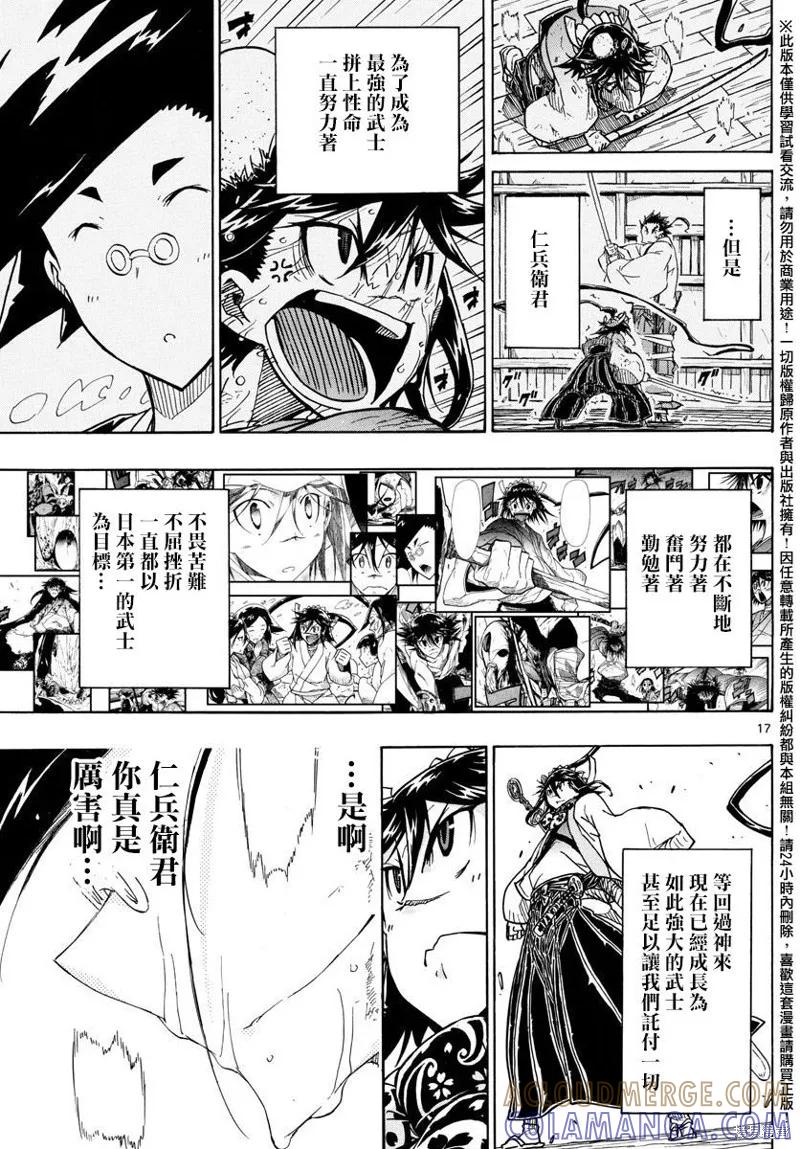 第17页