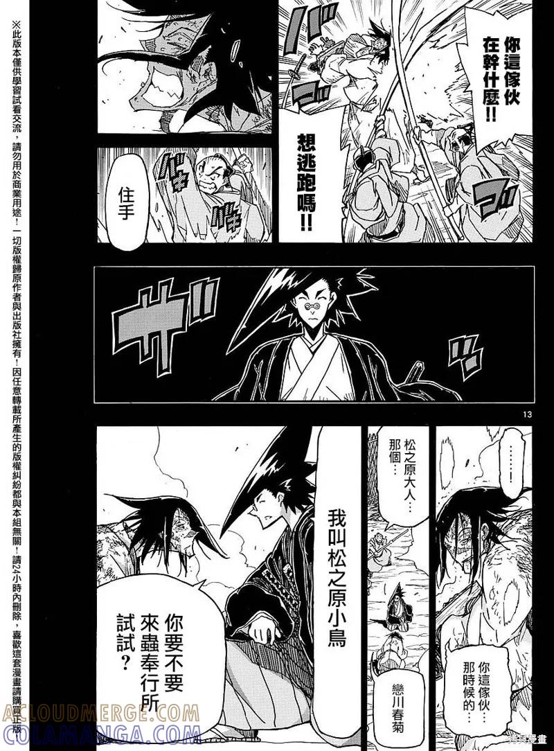 第13页