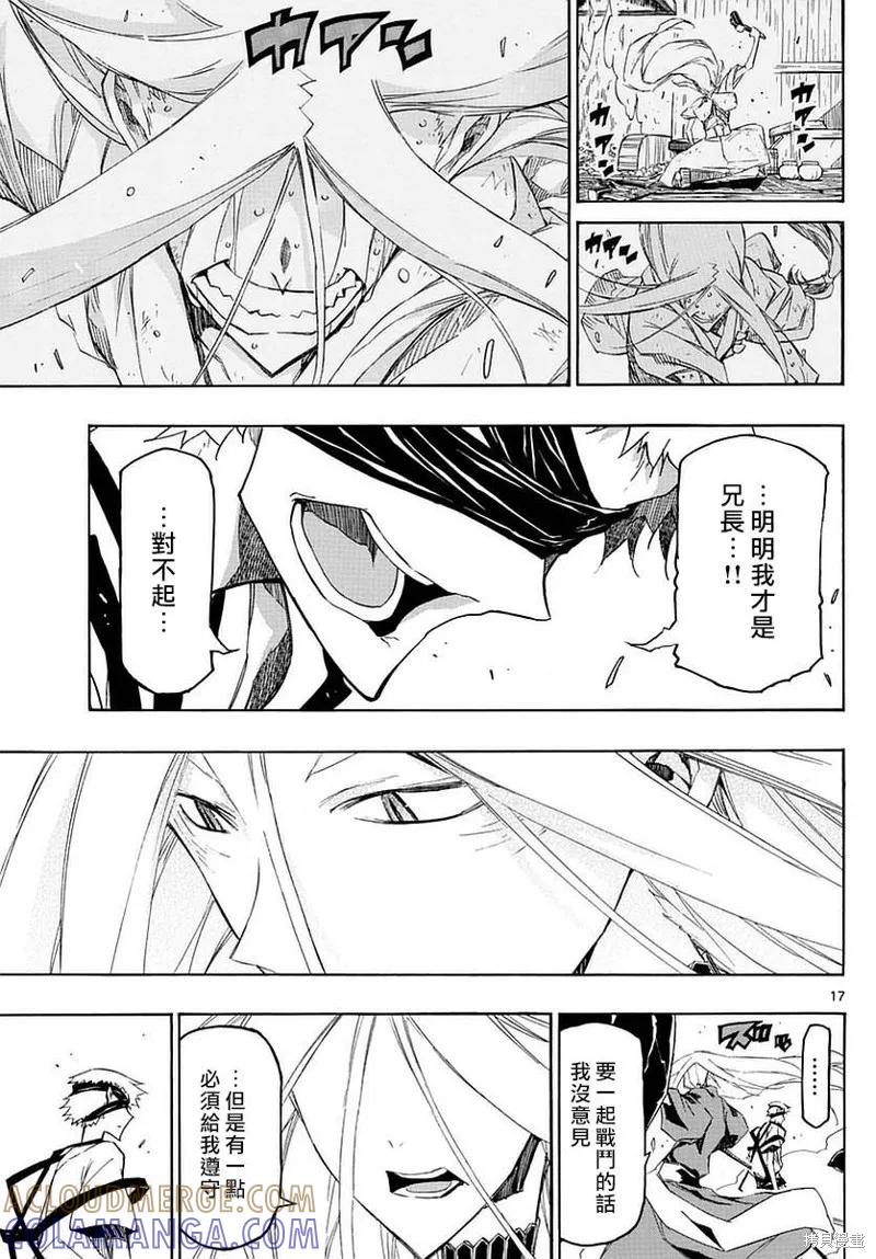 第17页