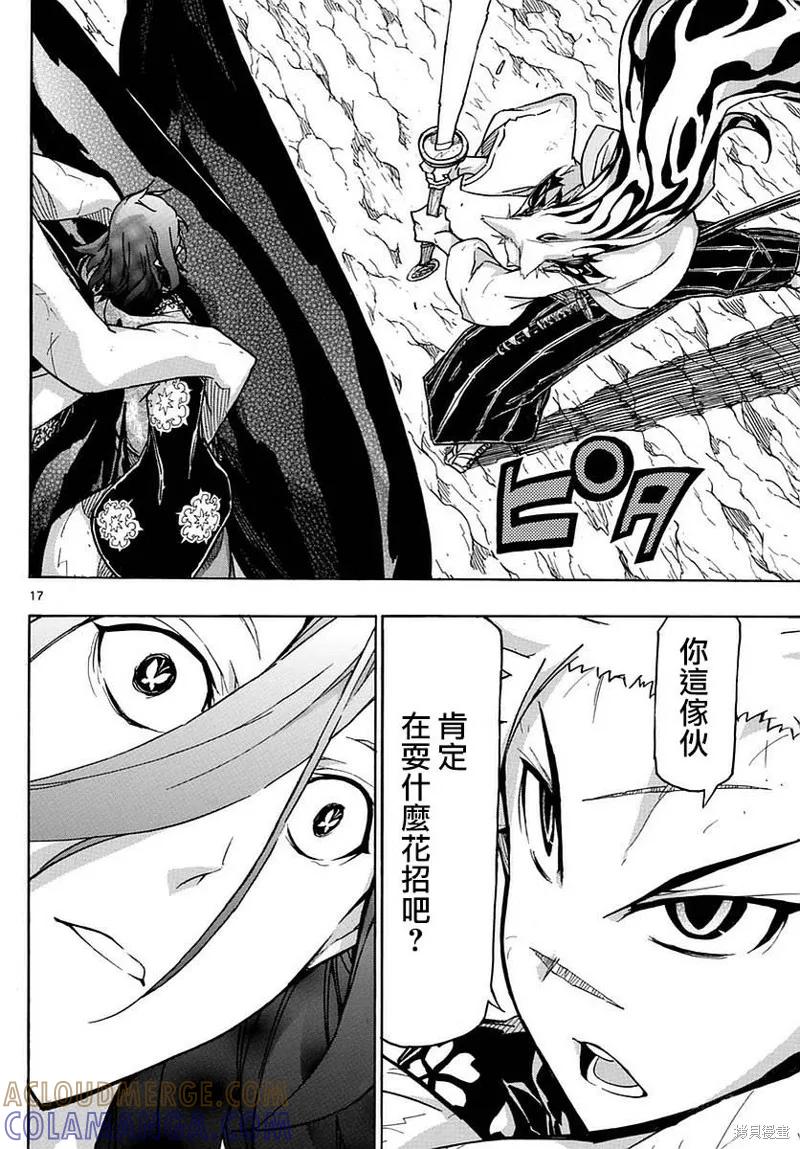 第17页