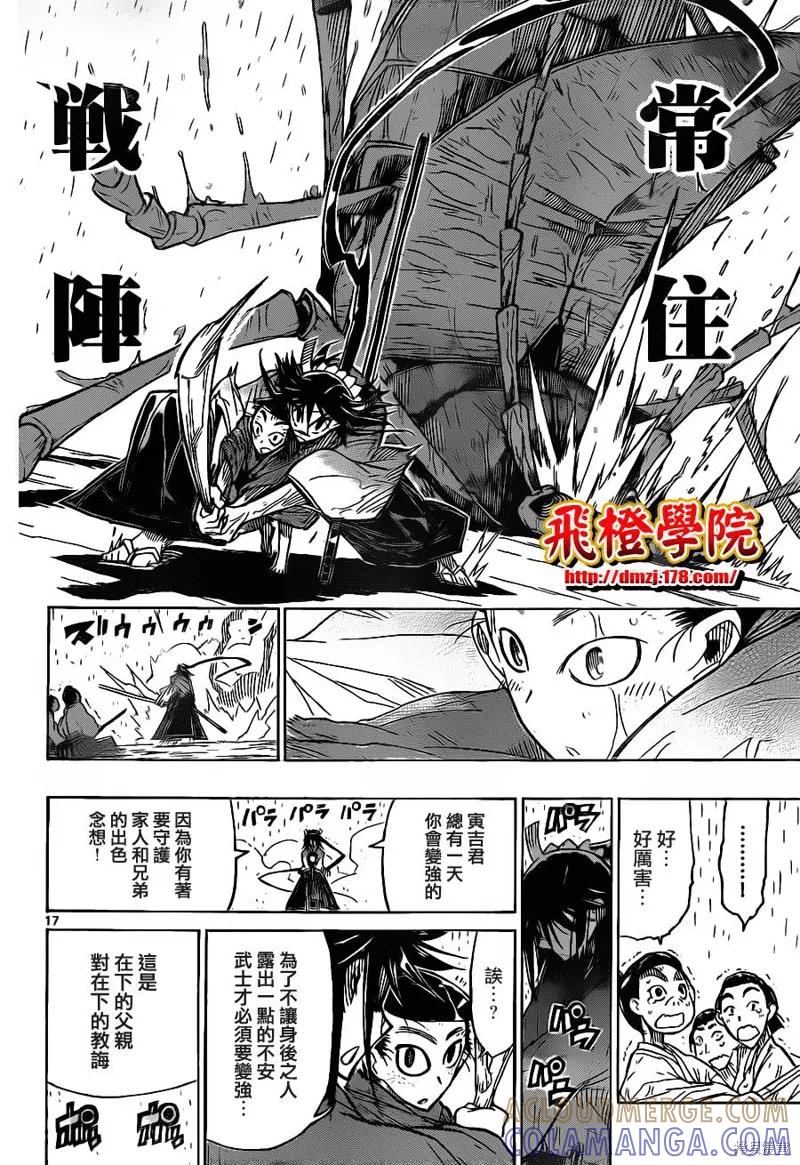第17页