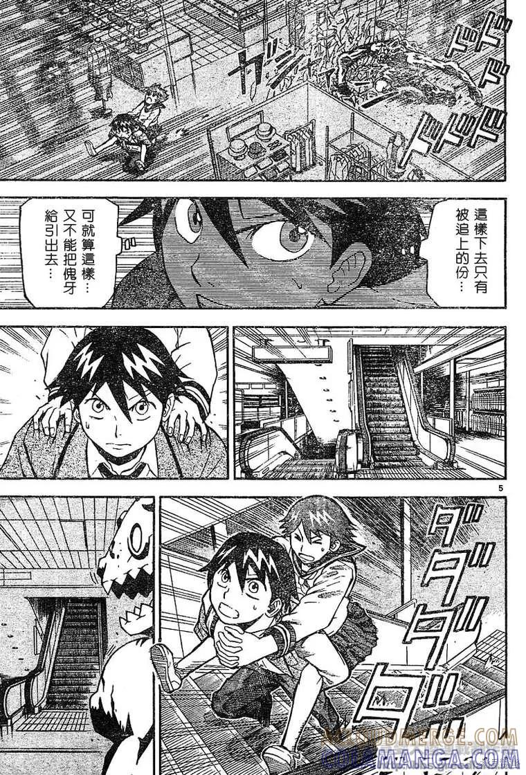 第5页