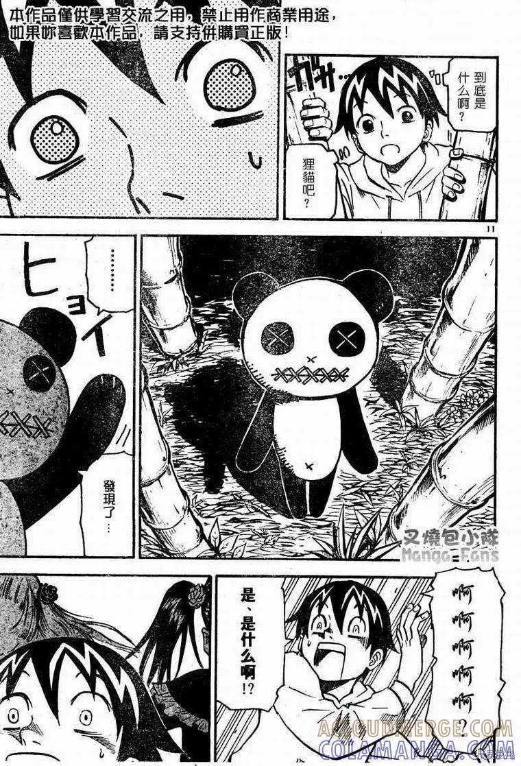 第11页