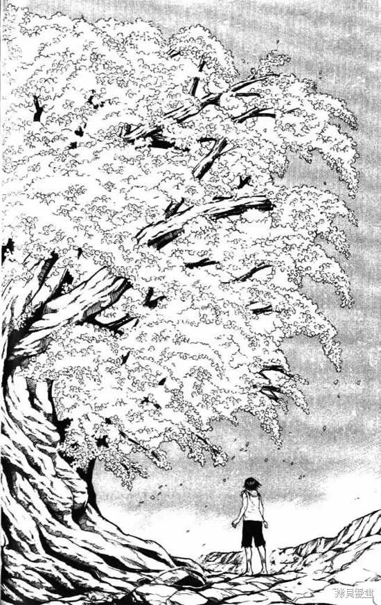 第164页